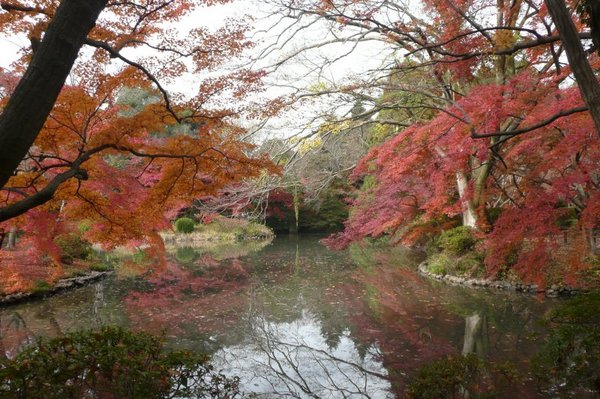 京都府立植物園２.jpg